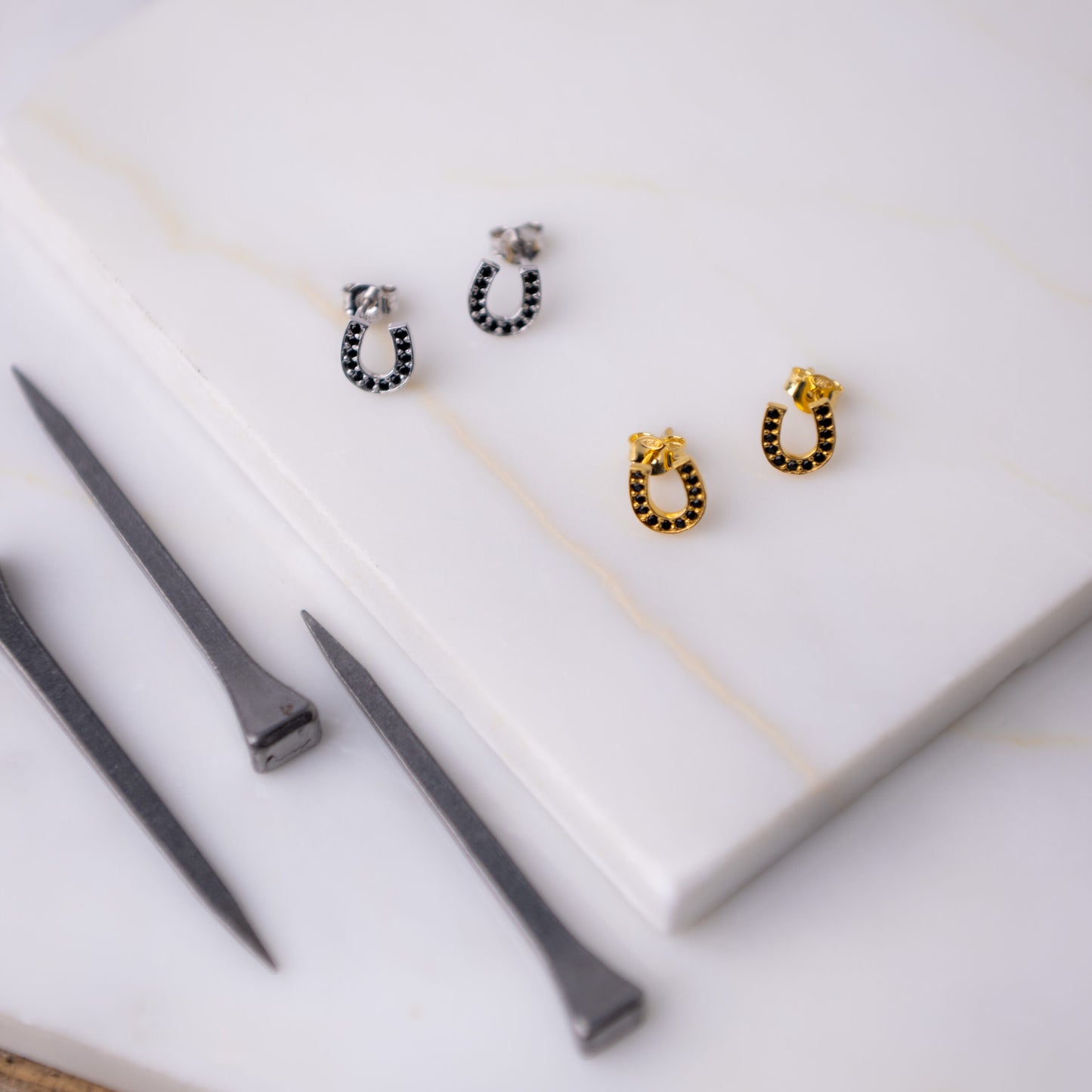 Horseshoe With Black Zircon