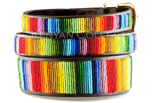 Rainbow Belt
